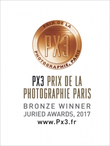 PX3-2017-Bronze